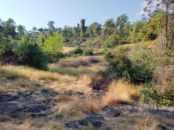 Property for sale in Kudal, Sindhudurg