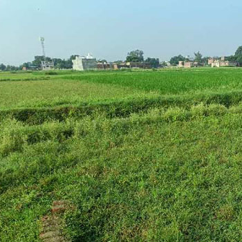 Residential plot sale in Daffalpur Rohania Varanasi