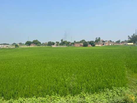 28560 Sq.ft. Commercial Lands /Inst. Land for Sale in Alinagar, Mughalsarai