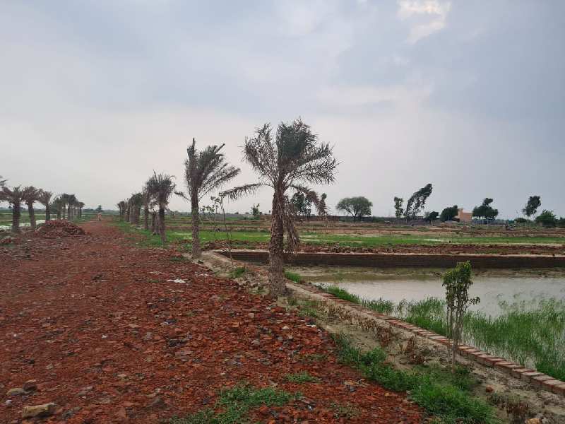 900 Sq.ft. Residential Plot For Sale In Tappal, Aligarh
