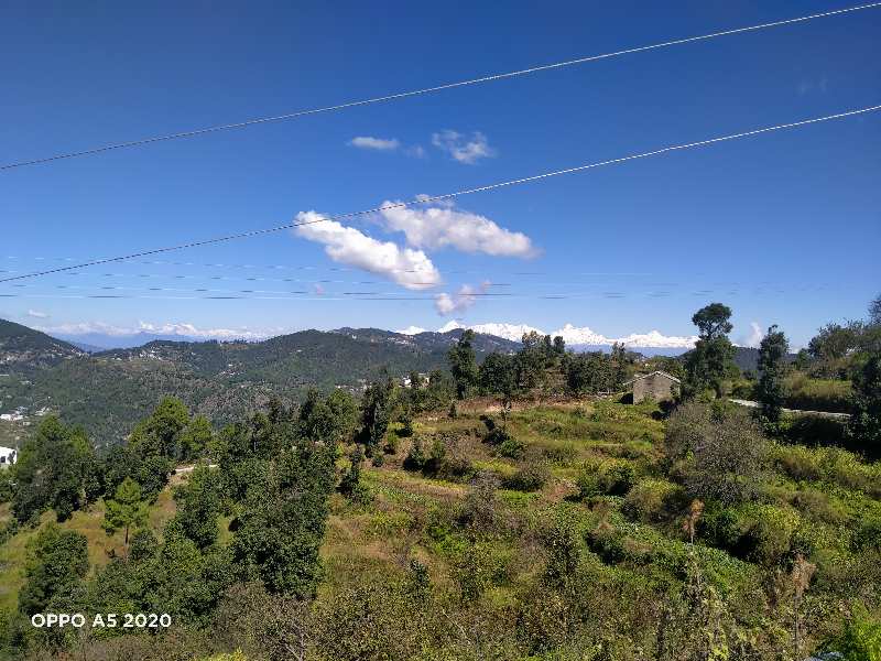 43055 Sq.ft. Commercial Lands /Inst. Land for Sale in Dhanachuli, Nainital
