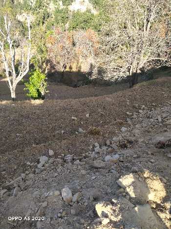 20 Hectares Residential Plot for Sale in Dhanachuli, Nainital