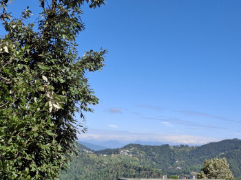 250 Sq. Meter Residential Plot for Sale in Dhanachuli, Nainital