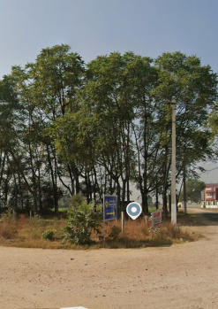 Property for sale in Barwala, Hisar