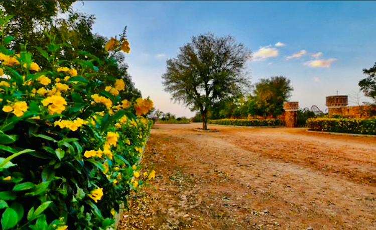 2 BHK Farm House for Sale in Ajmer Road Ajmer Road, Jaipur (4000 Sq. Yards)