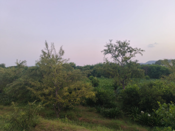 Property for sale in C Scheme, Jaipur