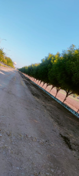 Property for sale in Tilak Nagar, Jaipur