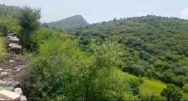 Property for sale in Nathdwara Road, Udaipur