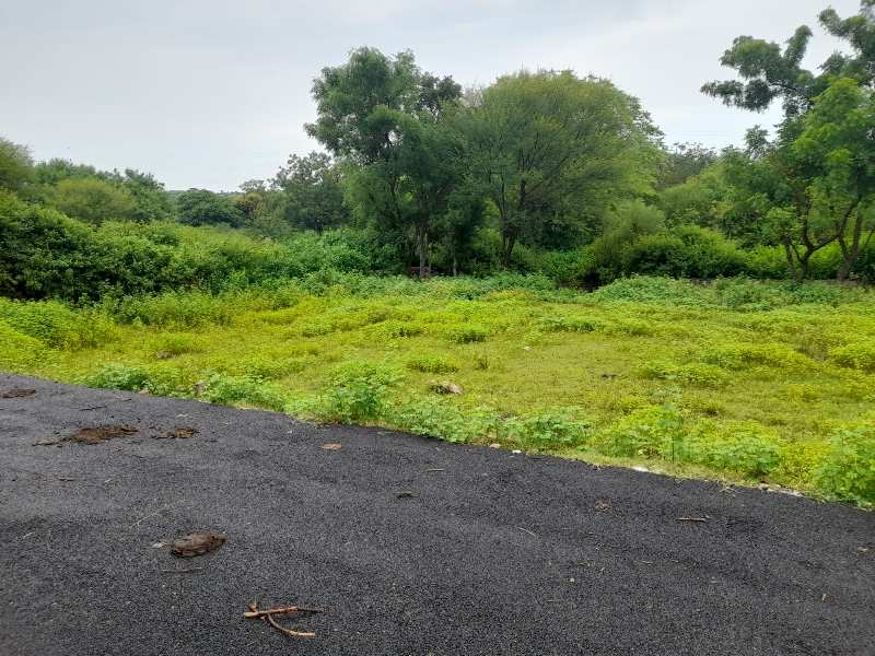 2400 Sq.ft. Agricultural/Farm Land for Sale in Badi, Udaipur