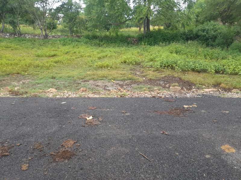 2400 Sq.ft. Agricultural/Farm Land for Sale in Badi, Udaipur