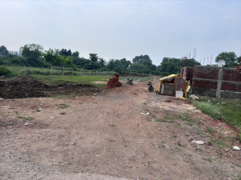 1000 Sq.ft. Residential Plot for Sale in Mangla, Bilaspur