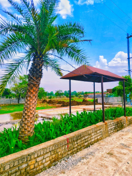 1250 Sq.ft. Residential Plot for Sale in Masturi, Bilaspur