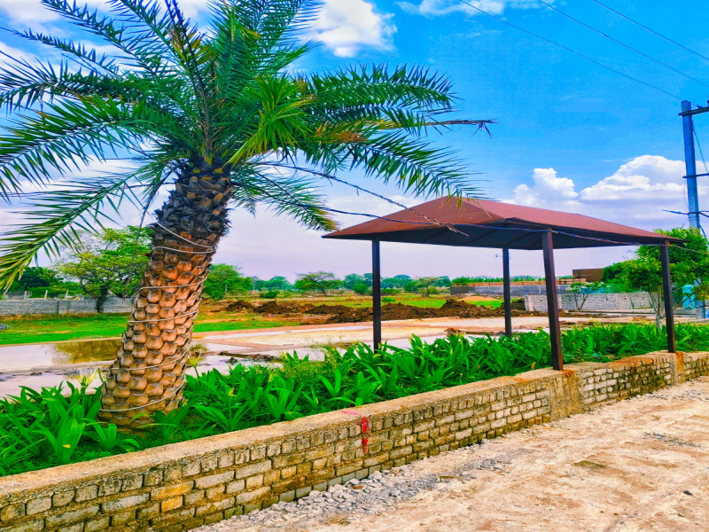 1250 Sq.ft. Residential Plot for Sale in Masturi, Bilaspur