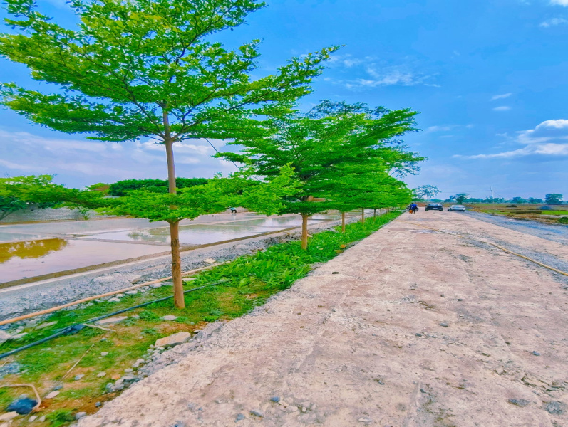 1800 Sq.ft. Residential Plot for Sale in Masturi, Bilaspur