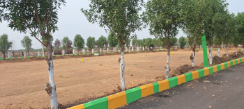Residential Plot for Sale in Kolanupaka, Yadadri Bhuvanagiri (100 Sq. Yards)