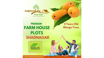 Property for sale in Shadnagar, Hyderabad