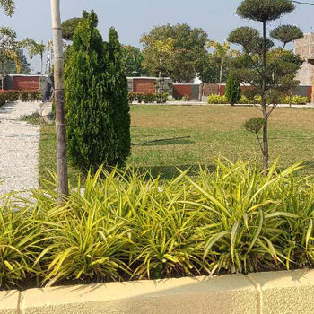 752 Sq.ft. Residential Plot for Sale in Bada Bangarda, Indore