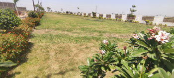 600 Sq.ft. Residential Plot for Sale in Ujjain Road, Indore