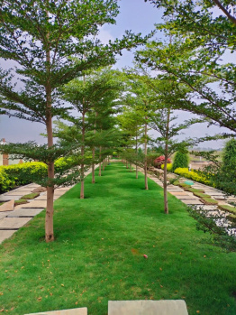 Property for sale in Ujjain Road, Indore