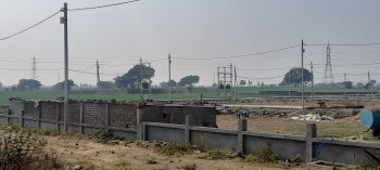 600 Sq.ft. Residential Plot for Sale in Ujjain Road, Indore (1000 Sq.ft.)