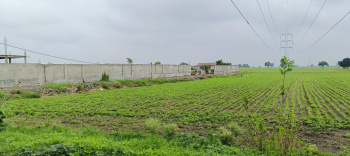 5 Bigha Agricultural/Farm Land for Sale in Ujjain Road Ujjain Road, Indore