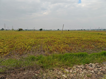 4.5 Bigha Agricultural/Farm Land for Sale in Khategaon, Dewas
