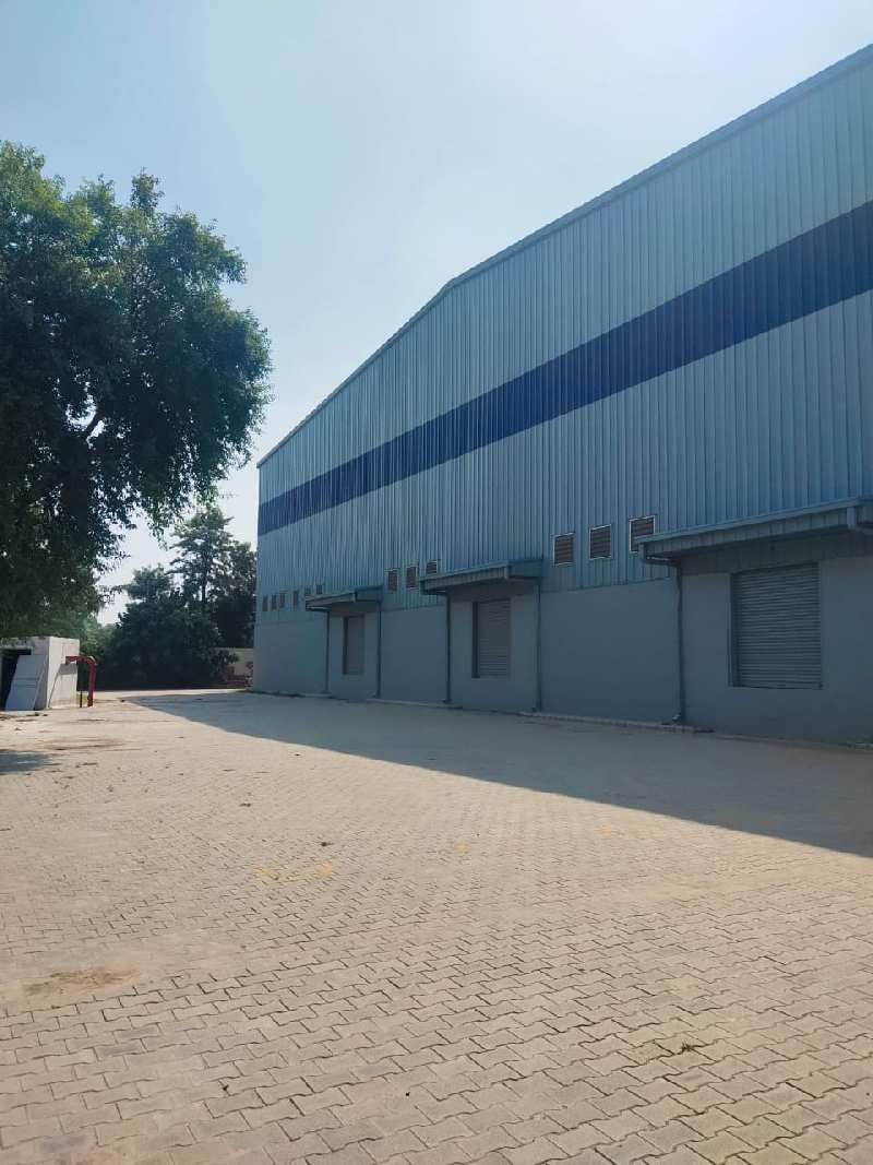 Warehouse for Rent In Farrukhnagar