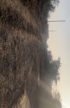 Property for sale in Gairatpur Bas, Gurgaon