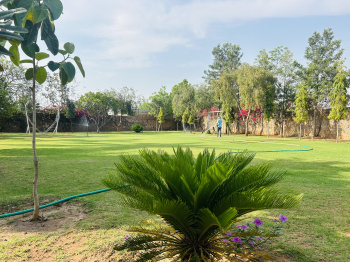 Property for sale in Gairatpur Bas, Gurgaon