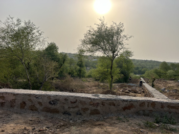 1 RK Farm House for Sale in Badshahpur, Gurgaon