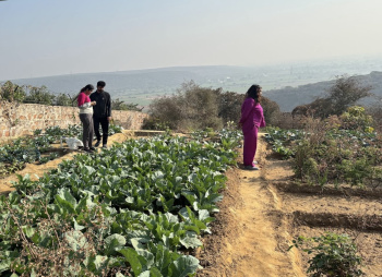 1 RK Farm House for Sale in Ansal Palam Vihar, Gurgaon (2 Acre)