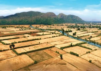 Agricultural/Farm Land for Sale in Ramgarh, Alwar (5 Bigha)