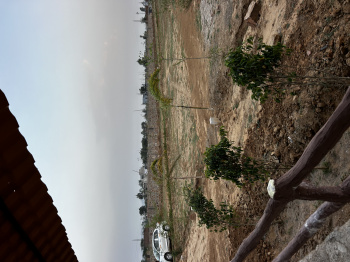 Property for sale in Ramgarh, Alwar