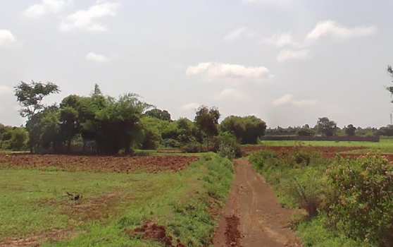Agriculture Land for sale near Devanahalli