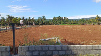 10890 Sq.ft. Agricultural/Farm Land for Sale in Thudiyalur, Coimbatore