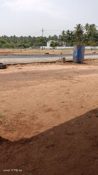 2 Cent Residential Plot for Sale in Thondamuthur, Coimbatore