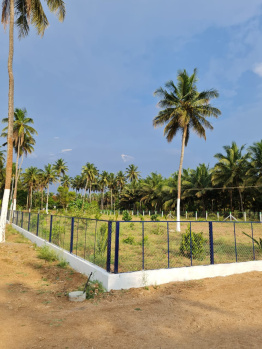 435.6 Sq.ft. Agricultural/Farm Land for Sale in Othakalmandapam, Coimbatore