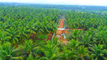435.6 Sq.ft. Agricultural/Farm Land for Sale in Othakalmandapam, Coimbatore