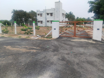 435.6 Sq.ft. Agricultural/Farm Land for Sale in Kinathukadavu, Coimbatore