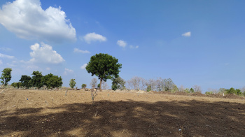 11000 Sq.ft. Farm House for Sale in Simrol, Indore