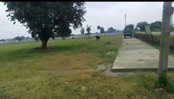 Property for sale in Fanda, Bhopal