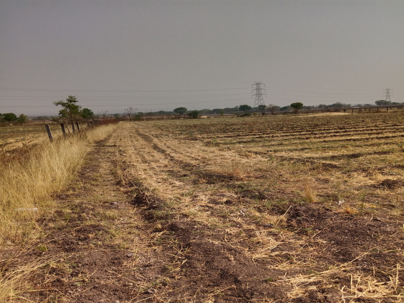 Farm House for Sale in Simrol, Indore (2800 Sq.ft.)