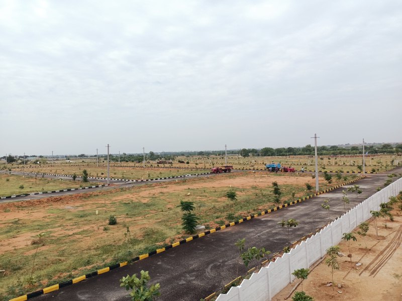 200 Sq. Yards Residential Plot for Sale in Shadnagar, Hyderabad (210 Sq. Yards)