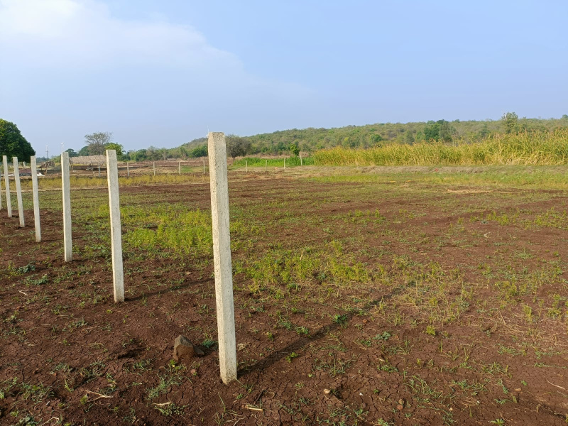 1 Ares Agricultural/Farm Land for Sale in Telangana