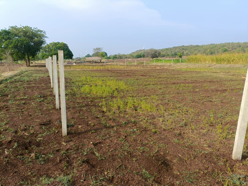 1 Ares Agricultural/Farm Land for Sale in Telangana