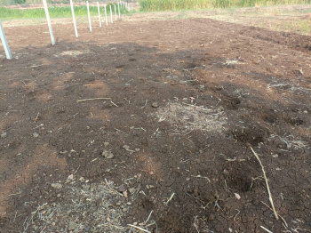 Property for sale in Shadnagar, Hyderabad