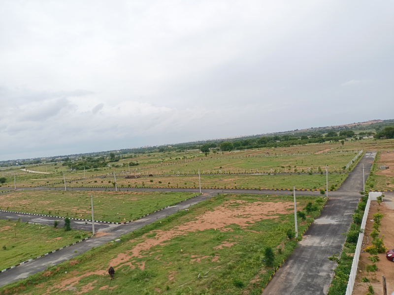LOW BUDGET OPEN PLOTS FOR SALE IN SHADNAGAR