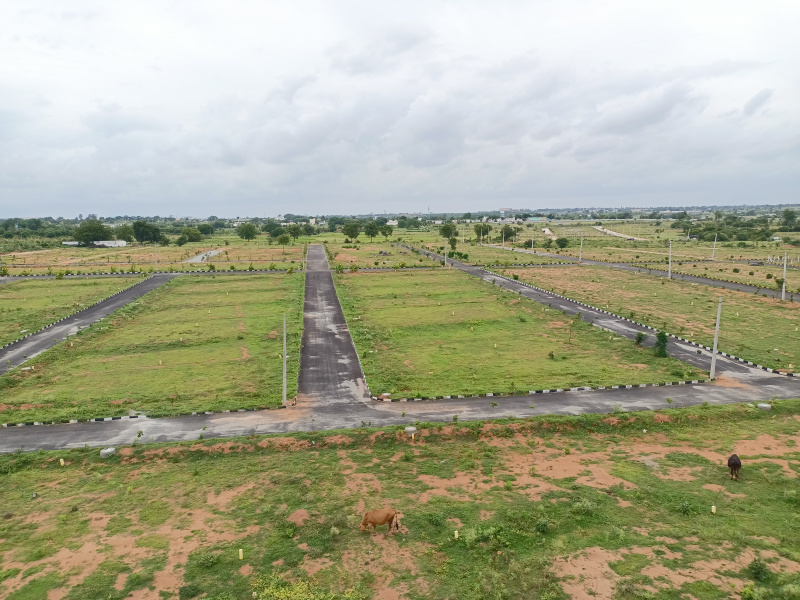 LOW BUDGET OPEN PLOTS FOR SALE IN SHADNAGAR
