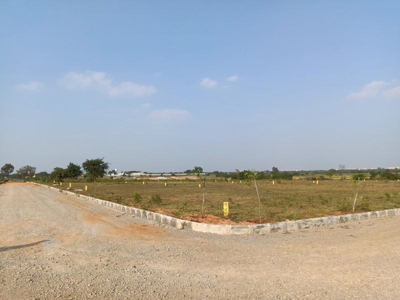 196 Sq. Yards Residential Plot for Sale in Shadnagar, Hyderabad