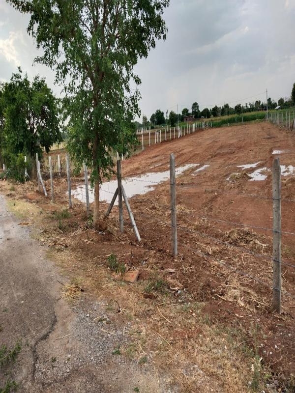 Agriculture land at Shadnagar pure Residential zone